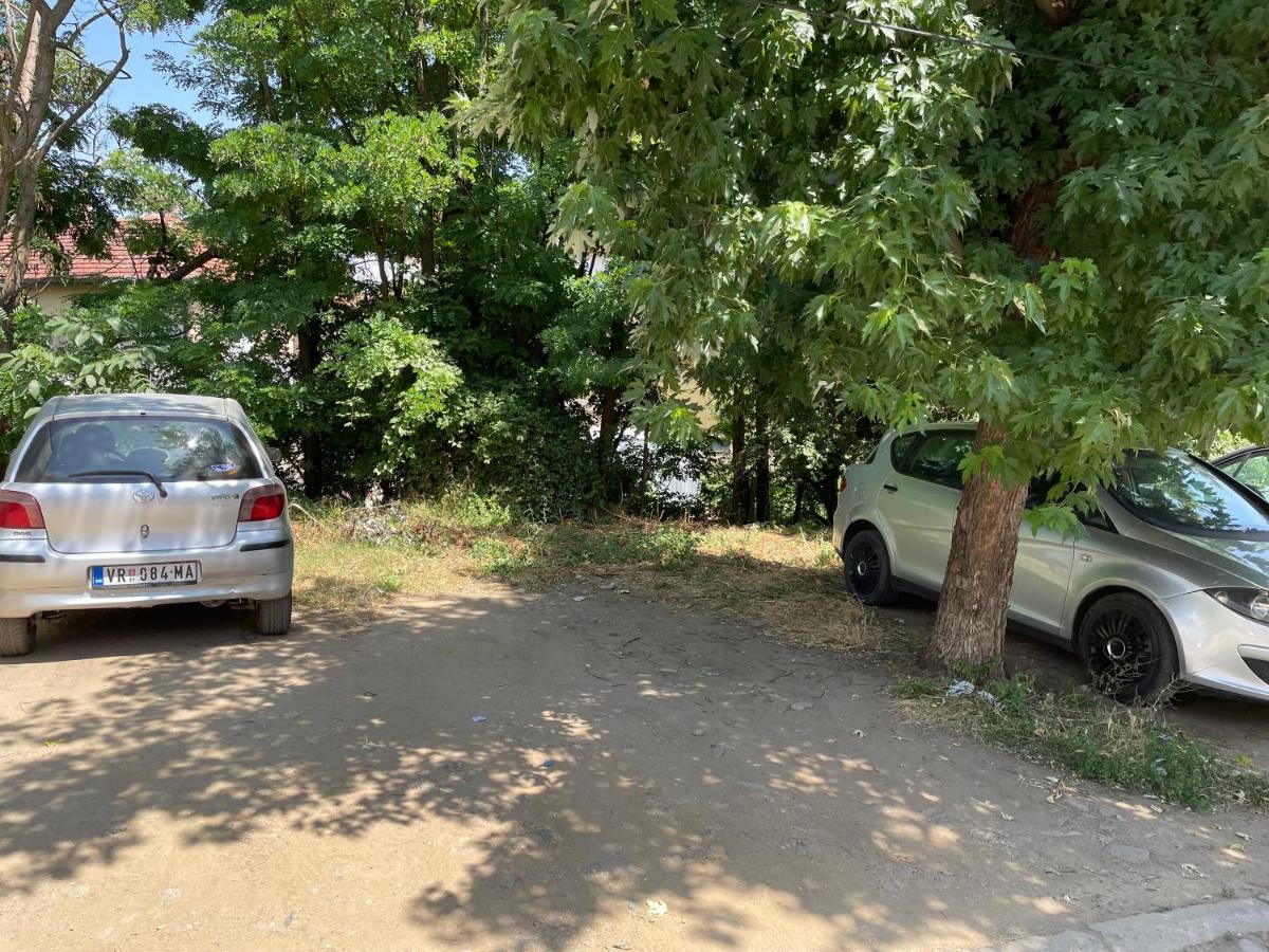 Bora Apartmani - Free Parking - City Center Vranje Eksteriør bilde