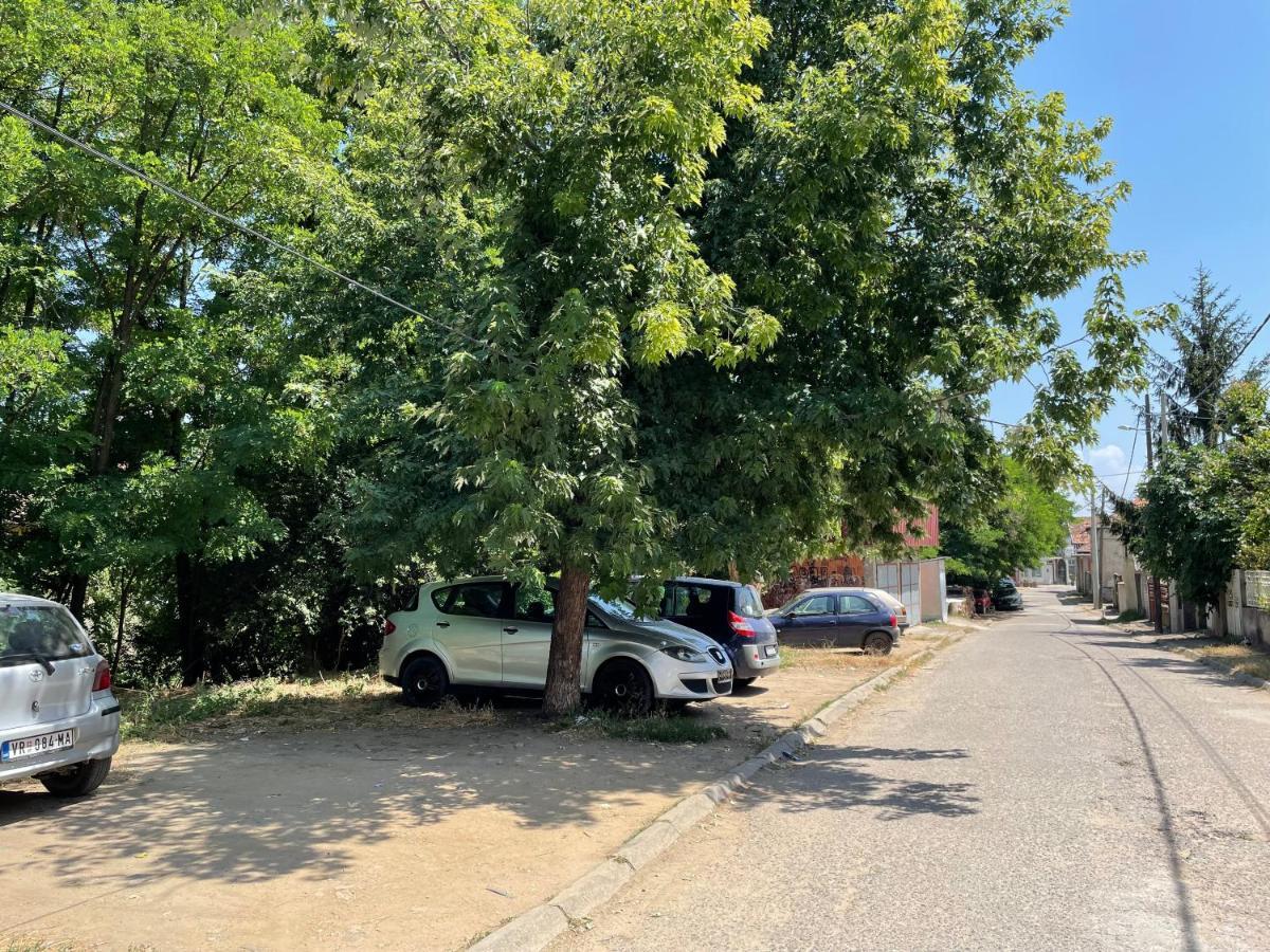 Bora Apartmani - Free Parking - City Center Vranje Eksteriør bilde